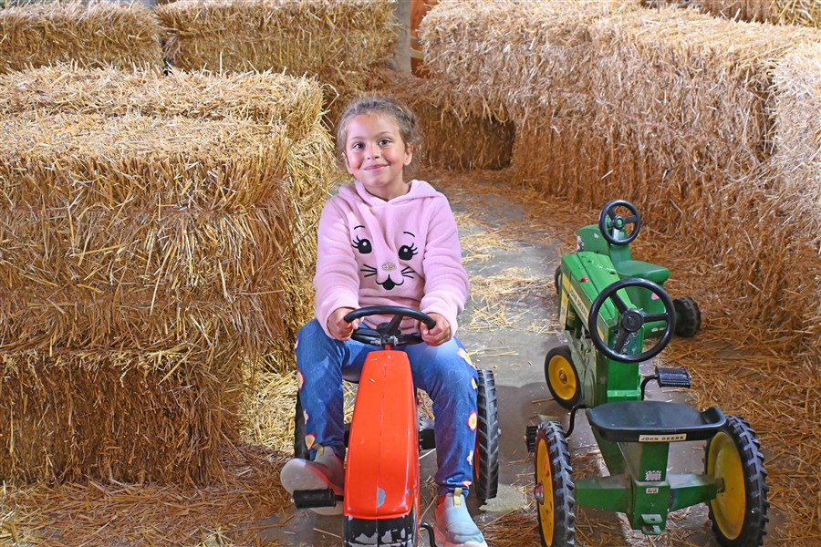 Young girl riding red pedal tractor through straw maze at outdoor activity in Sandusky County Ohio